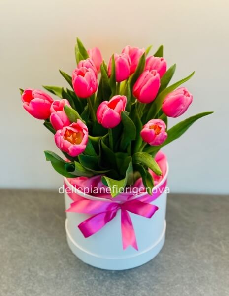 FlowerBox Tulipani